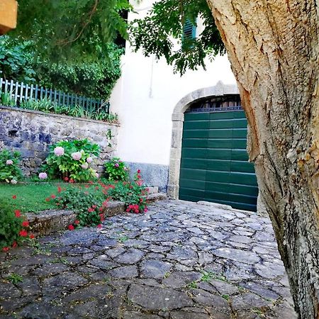 Villa Gioia Montelaterone Dış mekan fotoğraf